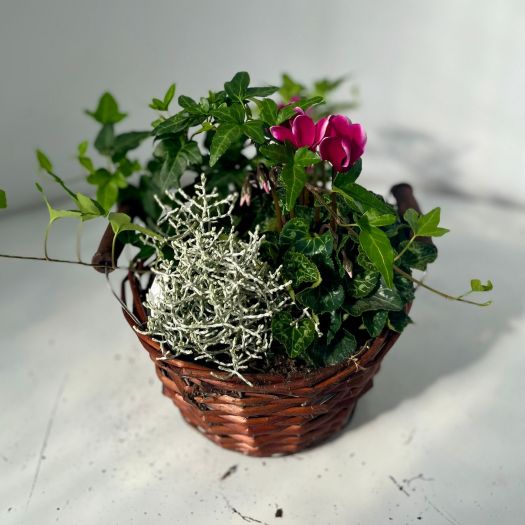 Herbstkorb `Darling Basket` 19 cm