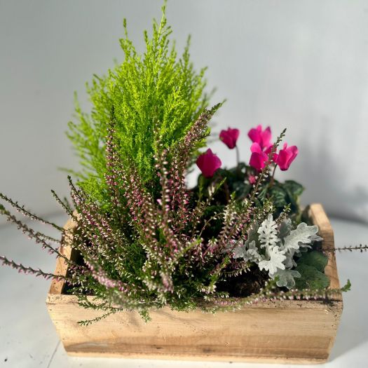 Herbstkiste `Raff` 28x20 cm