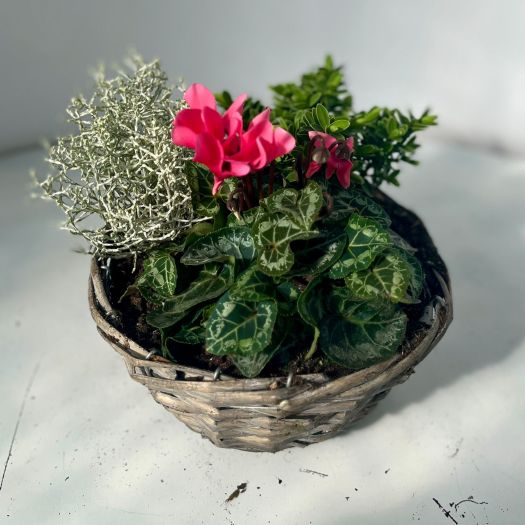 Herbstkorb `Livia Bowl` 20 cm