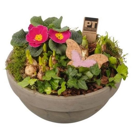 Frühlingsschale Ton 4-5 Pflanzen