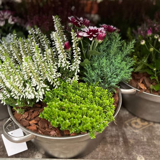 Zinkschale `Ida` 24 cm