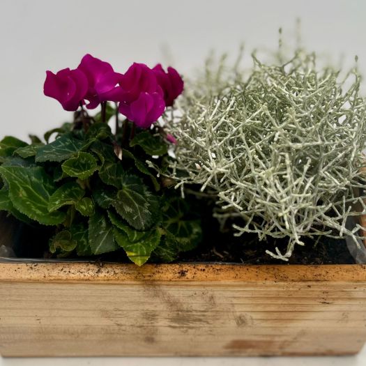 Herbstkiste `Raff` 23x14 cm