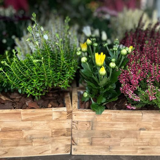 Blockholzkiste `Finn` 23x10