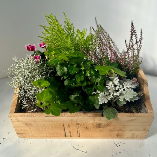 Herbstkiste `Raff` 33x24 cm