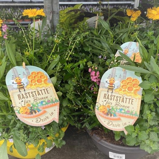 Bienen-Raststätte Mix-Schale