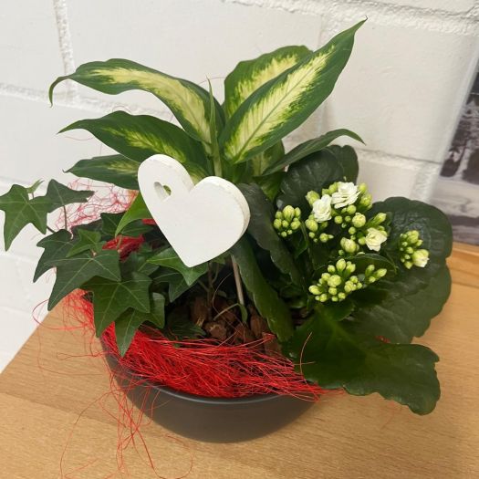 Keramikschale Indoor T20