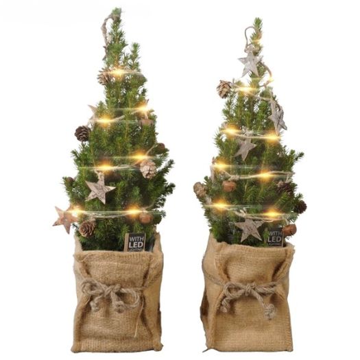 Picea conica Jute-Deko-LED 50/55 T15
