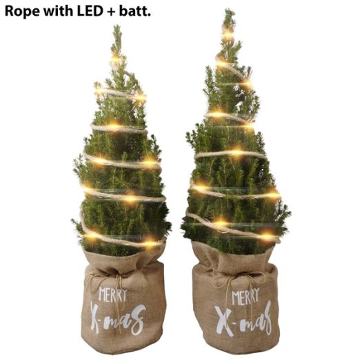 Picea Conica Jute/LED 80/90 T19