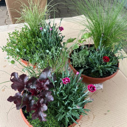 Herbstschale `AutumnFriends` T23