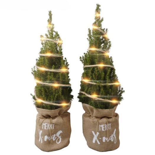 Picea conica Jute/LED 75/80 T19