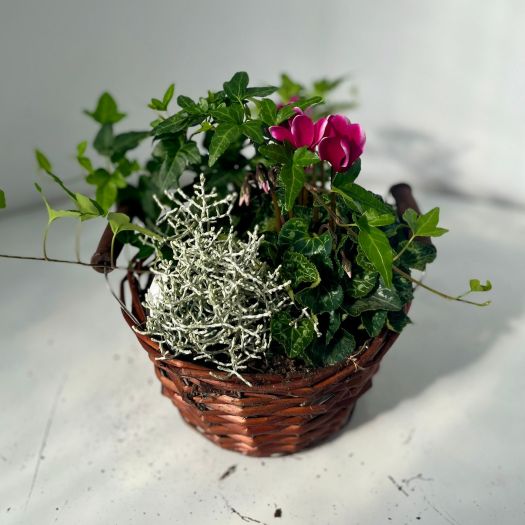 Herbstkorb `Darling Basket` 19 cm